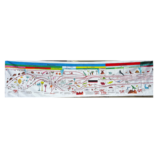 Timeline of Life 24x96" (fabric material)