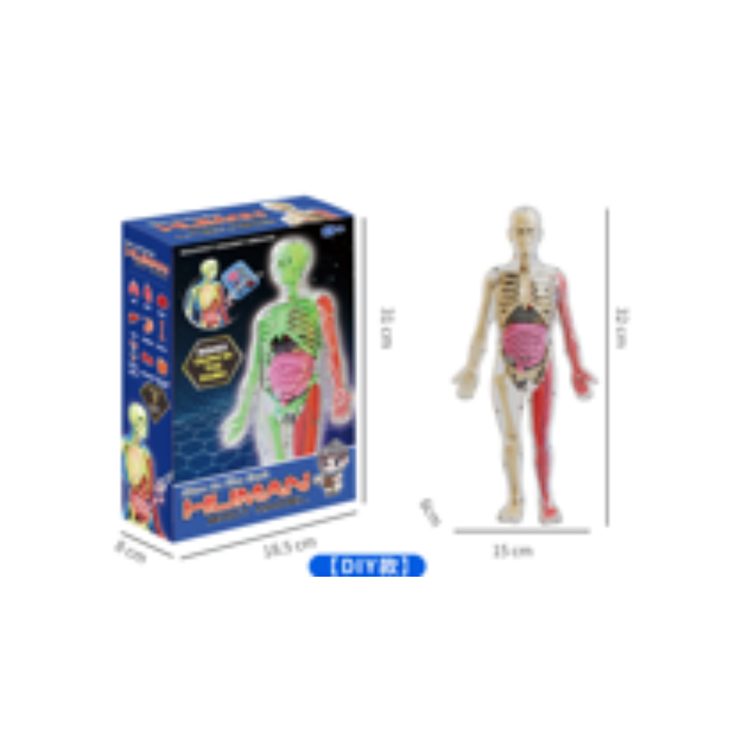 4D Mannequin DIY Model