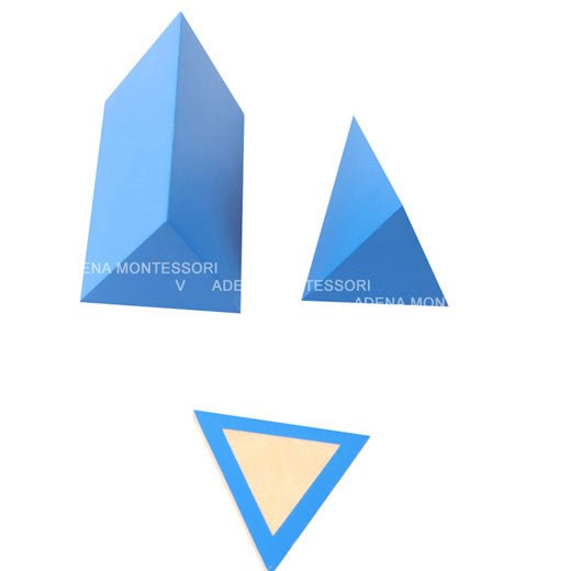 Geometric Solids with Stand, Bases, and Box