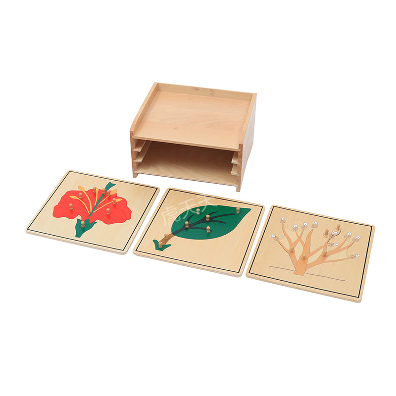 Botany Puzzle Cabinet (3 Puzzles Included)