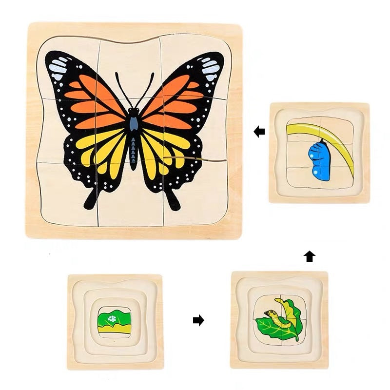 Life Cycle of Butterfly Puzzle
