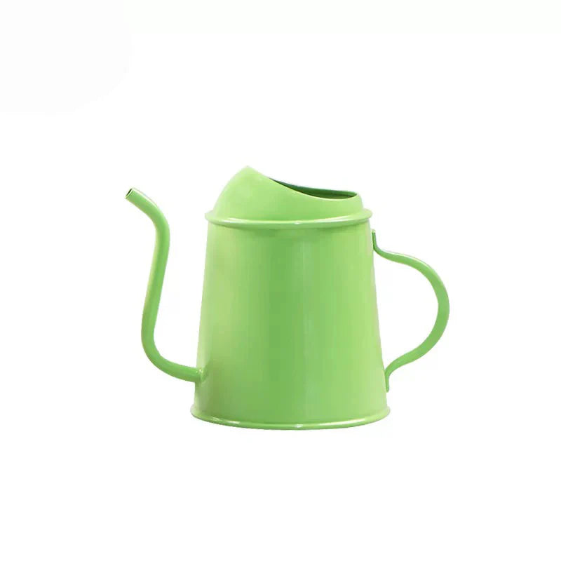 Tiny Watering Can