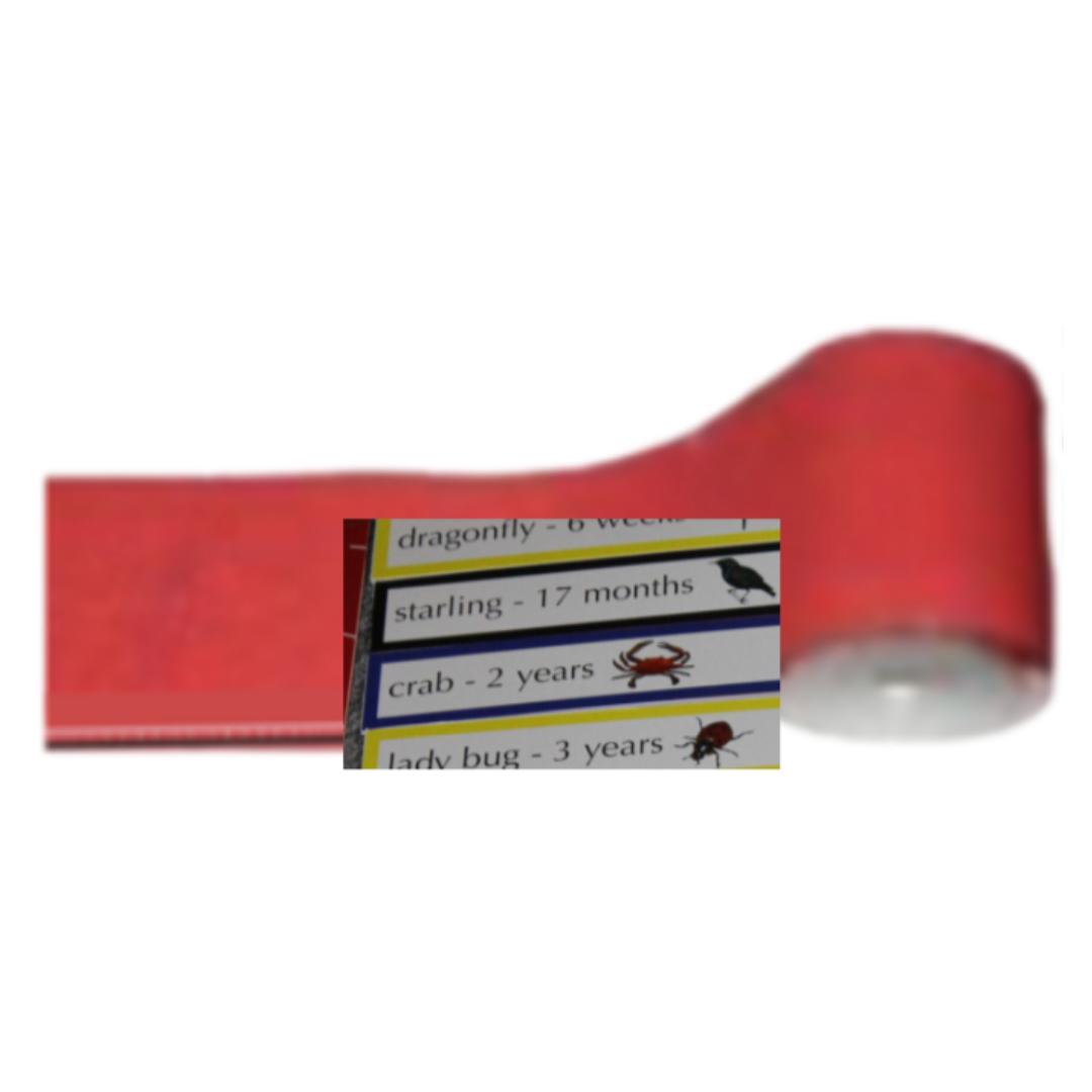 Lifetimes with Cards