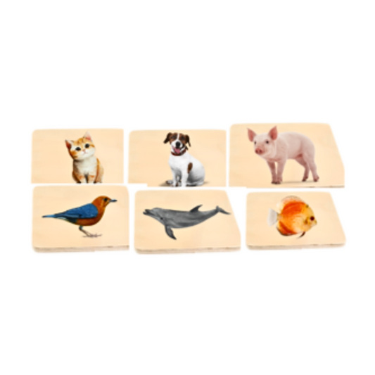 Realistic Whole Piece Puzzle: (Cat, Dog, Pig, Bird, Dolphin, Fish)
