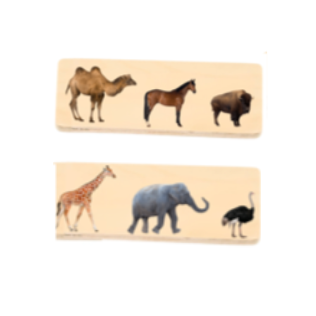 Whole Piece Puzzle: Decreasing Height Animal