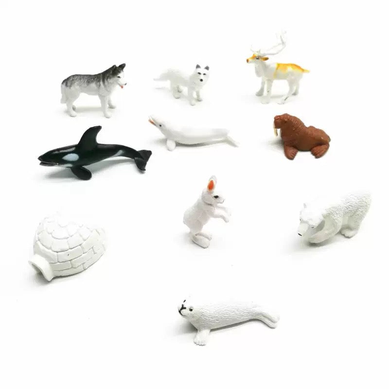Animals from the Arctic Objects