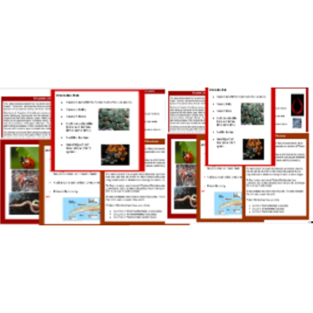 Tree of Life Research and Kingdom Picture Cards