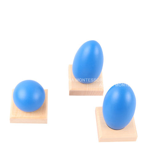 Geometric Solids with Stand, Bases, and Box