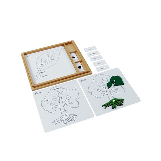 Botany Puzzle Activity Set