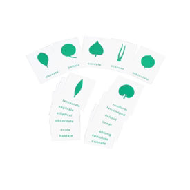 Botany Cabinet: Nomenclature Cards