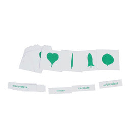 Botany Cabinet: Nomenclature Cards