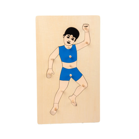 Parts of the Body - Boy