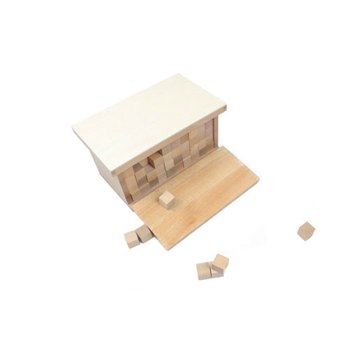 Volume Box with 250 Cubes