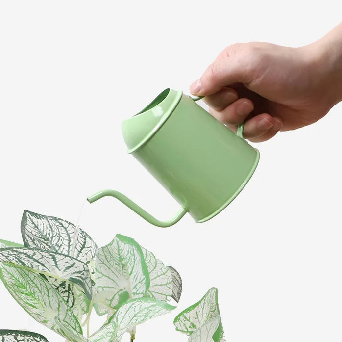 Tiny Watering Can
