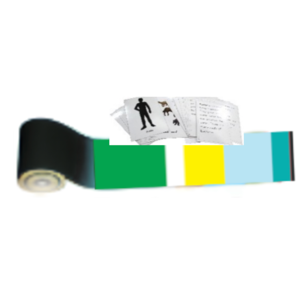 Impressionistic Timeline of Life with cards